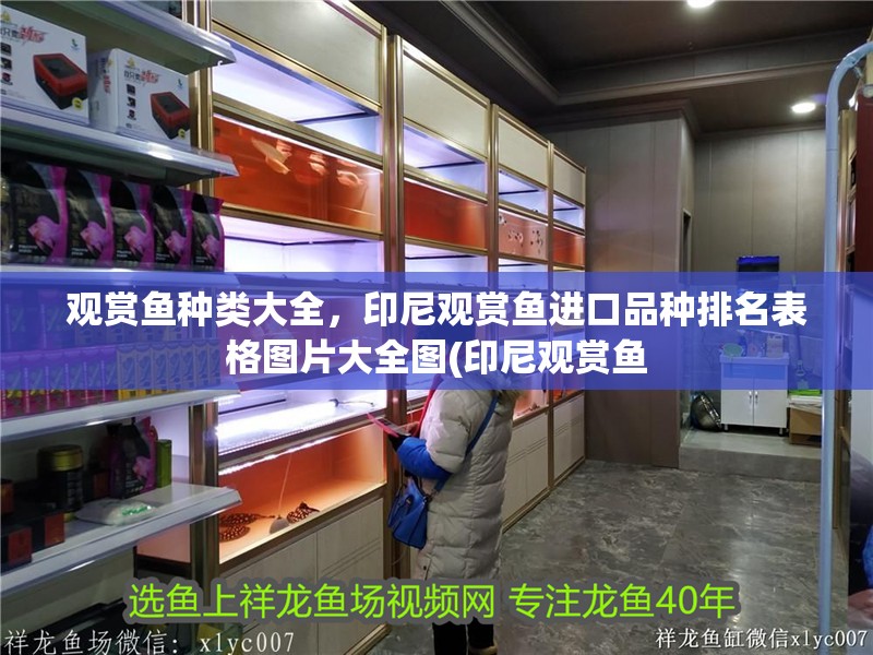 觀賞魚種類大全，印尼觀賞魚進口品種排名表格圖片大全圖(印尼觀賞魚