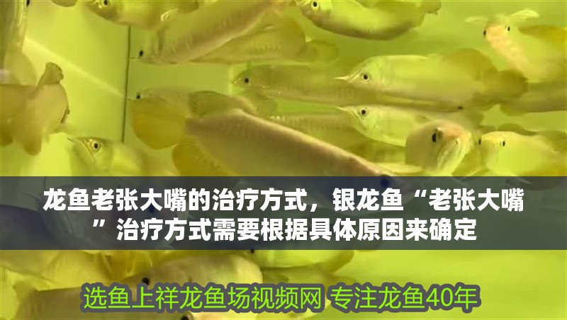 龍魚老張大嘴的治療方式，銀龍魚“老張大嘴”治療方式需要根據具體原因來確定