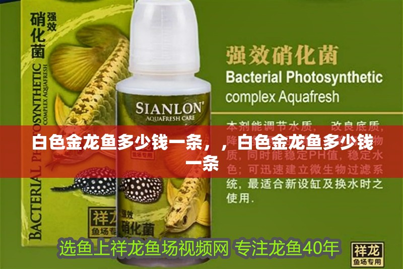 白色金龍魚多少錢一條，，白色金龍魚多少錢一條