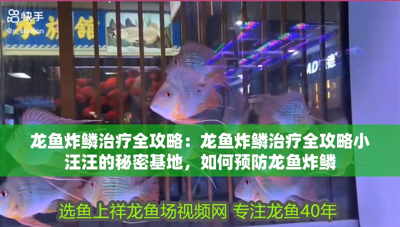 龍魚炸鱗治療全攻略：龍魚炸鱗治療全攻略小汪汪的秘密基地，如何預(yù)防龍魚炸鱗