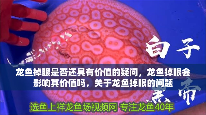 龍魚掉眼是否還具有價值的疑問，龍魚掉眼會影響其價值嗎，關于龍魚掉眼的問題