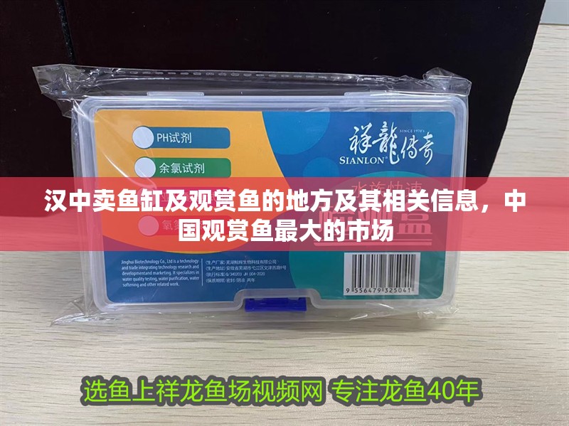 漢中賣魚缸及觀賞魚的地方及其相關信息，中國觀賞魚最大的市場
