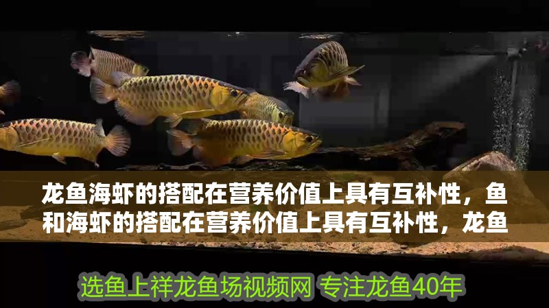 龍魚海蝦的搭配在營養價值上具有互補性，魚和海蝦的搭配在營養價值上具有互補性，龍魚和海蝦的搭配禁忌