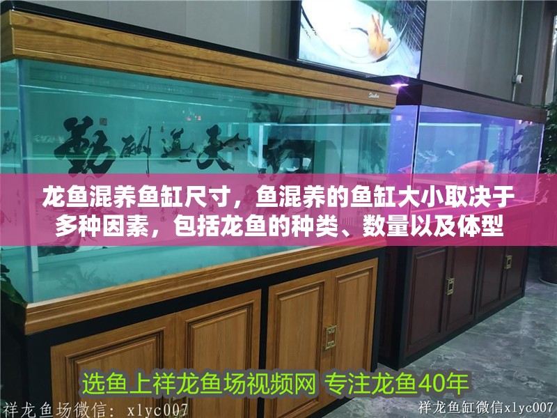 龍魚混養魚缸尺寸，魚混養的魚缸大小取決于多種因素，包括龍魚的種類、數量以及體型