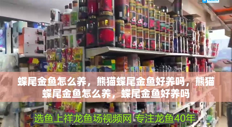 蝶尾金魚怎么養(yǎng)，熊貓蝶尾金魚好養(yǎng)嗎，熊貓蝶尾金魚怎么養(yǎng)，蝶尾金魚好養(yǎng)嗎