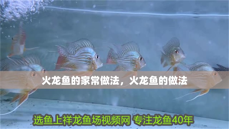 火龍魚的家常做法，火龍魚的做法 火龍魚的家常做法，火龍魚的做法 觀賞魚百科 第2張