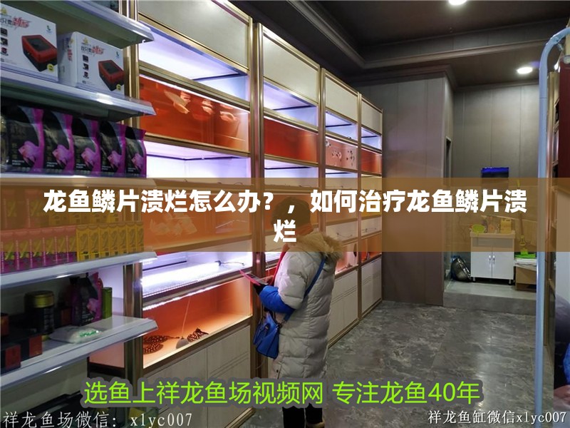 龍魚鱗片潰爛怎么辦？，如何治療龍魚鱗片潰爛