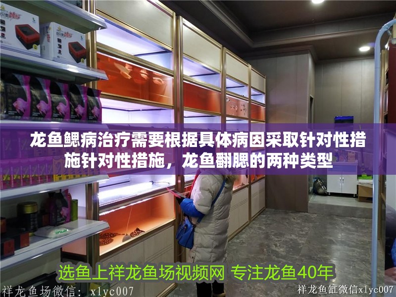 龍魚鰓病治療需要根據(jù)具體病因采取針對(duì)性措施針對(duì)性措施，龍魚翻腮的兩種類型