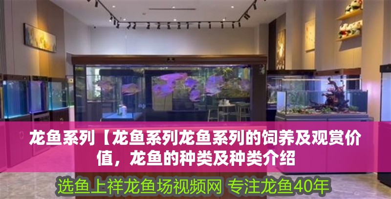 龍魚系列【龍魚系列龍魚系列的飼養(yǎng)及觀賞價值，龍魚的種類及種類介紹
