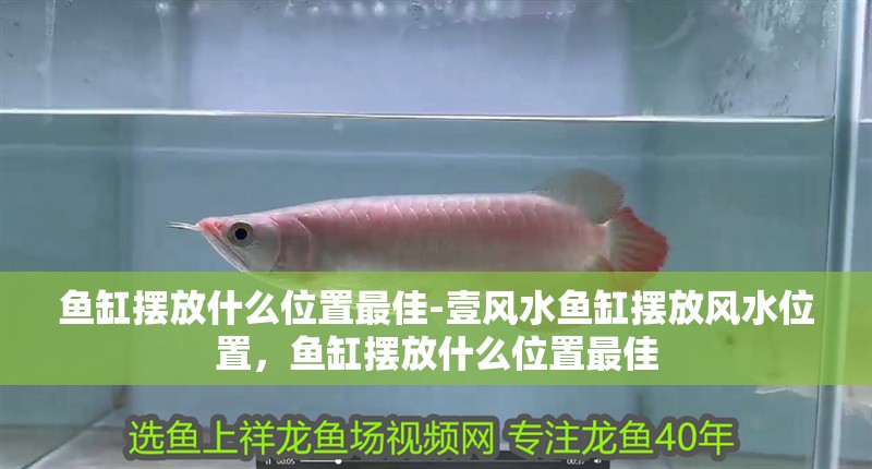 魚缸擺放什么位置最佳-壹風水魚缸擺放風水位置，魚缸擺放什么位置最佳