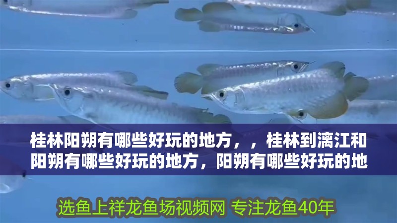 桂林陽朔有哪些好玩的地方，，桂林到漓江和陽朔有哪些好玩的地方，陽朔有哪些好玩的地方