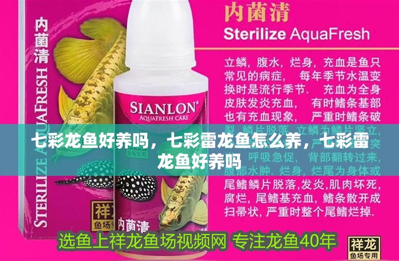 七彩龍魚好養嗎，七彩雷龍魚怎么養，七彩雷龍魚好養嗎