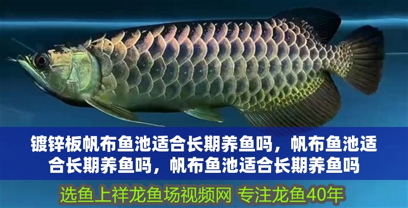 鍍鋅板帆布魚池適合長期養魚嗎，帆布魚池適合長期養魚嗎，帆布魚池適合長期養魚嗎