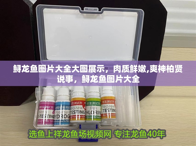 鱘龍魚圖片大全大圖展示，肉質鮮嫩,爽神柏賢說事，鱘龍魚圖片大全