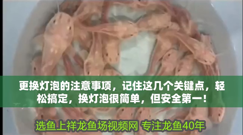 更換燈泡的注意事項，記住這幾個關鍵點，輕松搞定，換燈泡很簡單，但安全第一！