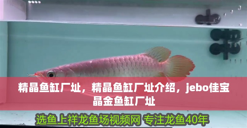精晶魚缸廠址，精晶魚缸廠址介紹，jebo佳寶晶金魚缸廠址 精晶魚缸廠址，精晶魚缸廠址介紹，jebo佳寶晶金魚缸廠址 觀賞魚百科 第1張