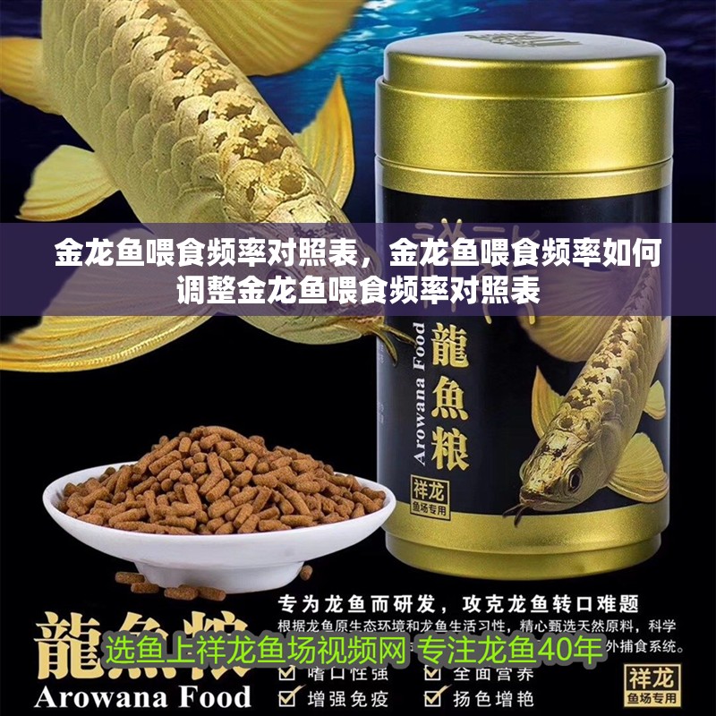 金龍魚喂食頻率對照表，金龍魚喂食頻率如何調整金龍魚喂食頻率對照表