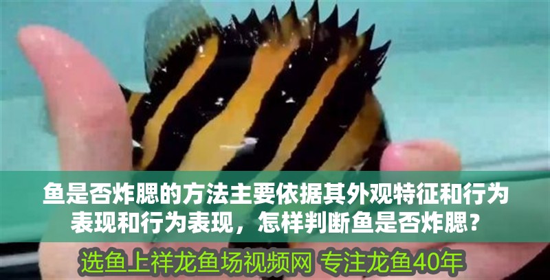 魚是否炸腮的方法主要依據(jù)其外觀特征和行為表現(xiàn)和行為表現(xiàn)，怎樣判斷魚是否炸腮？