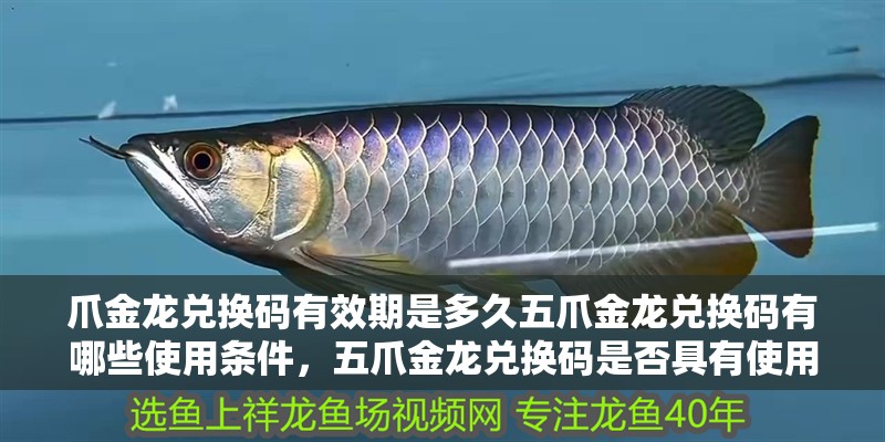 爪金龍兌換碼有效期是多久五爪金龍兌換碼有哪些使用條件，五爪金龍兌換碼是否具有使用限制