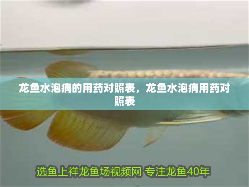 龍魚水泡病的用藥對照表，龍魚水泡病用藥對照表