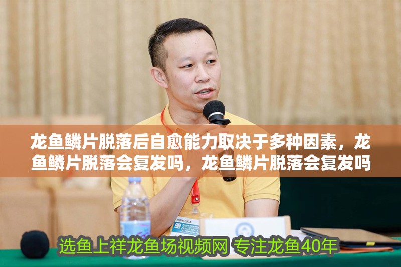 龍魚鱗片脫落后自愈能力取決于多種因素，龍魚鱗片脫落會復發嗎，龍魚鱗片脫落會復發嗎