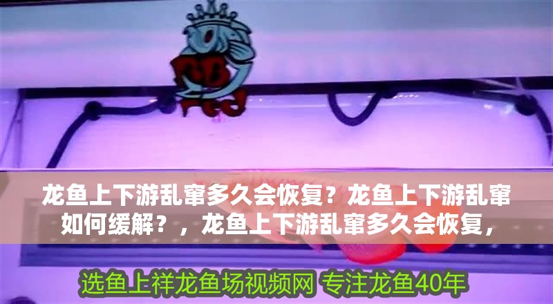 龍魚上下游亂竄多久會恢復？龍魚上下游亂竄如何緩解？，龍魚上下游亂竄多久會恢復，