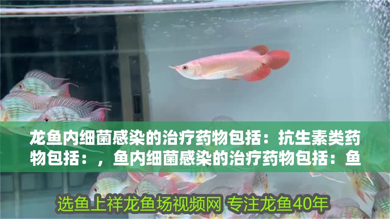 龍魚內(nèi)細(xì)菌感染的治療藥物包括：抗生素類藥物包括：，魚內(nèi)細(xì)菌感染的治療藥物包括：魚內(nèi)細(xì)菌感染的治療藥物包括：