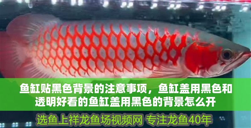 魚缸貼黑色背景的注意事項(xiàng)，魚缸蓋用黑色和透明好看的魚缸蓋用黑色的背景怎么開