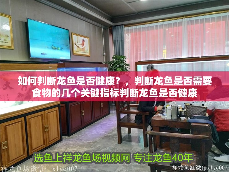如何判斷龍魚是否健康？，判斷龍魚是否需要食物的幾個關鍵指標判斷龍魚是否健康