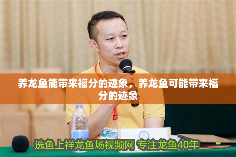 養(yǎng)龍魚能帶來福分的跡象，養(yǎng)龍魚可能帶來福分的跡象