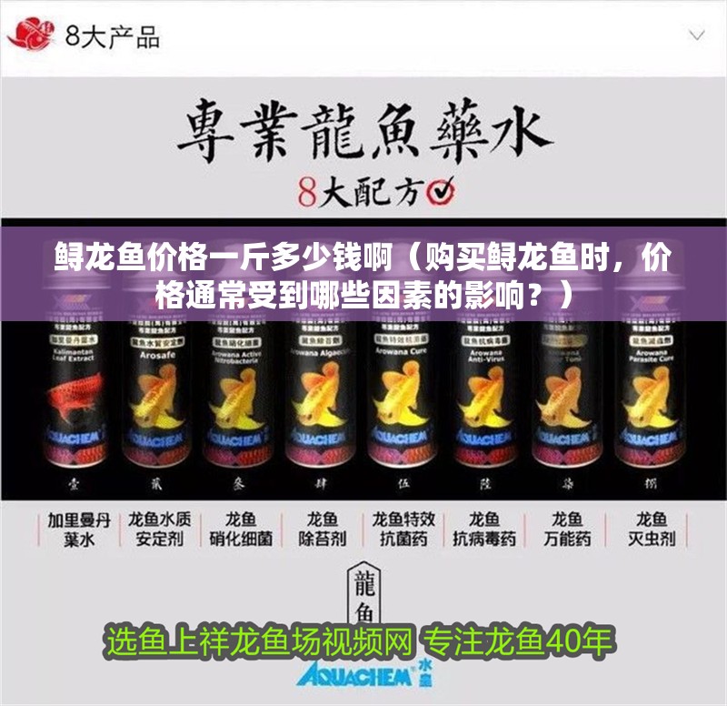 鱘龍魚價格一斤多少錢啊（購買鱘龍魚時，價格通常受到哪些因素的影響？）