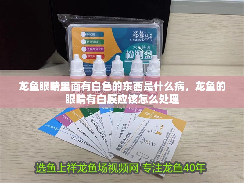龍魚眼睛里面有白色的東西是什么病，龍魚的眼睛有白膜應該怎么處理