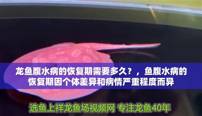 龍魚腹水病的恢復(fù)期需要多久？，魚腹水病的恢復(fù)期因個體差異和病情嚴重程度而異