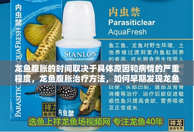 龍魚腹脹的時間取決于具體原因和病情的嚴(yán)重程度，龍魚腹脹治療方法，如何早期發(fā)現(xiàn)龍魚腹脹？