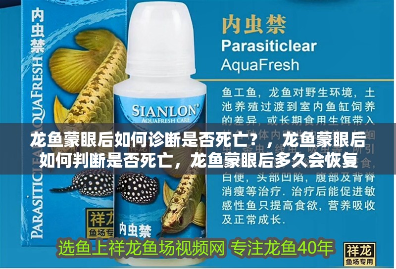 龍魚蒙眼后如何診斷是否死亡？，龍魚蒙眼后如何判斷是否死亡，龍魚蒙眼后多久會恢復