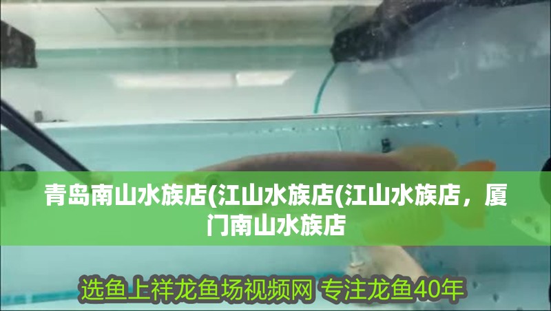 青島南山水族店(江山水族店(江山水族店，廈門南山水族店