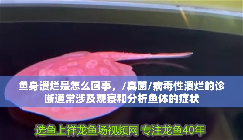 魚身潰爛是怎么回事，/真菌/病毒性潰爛的診斷通常涉及觀察和分析魚體的癥狀