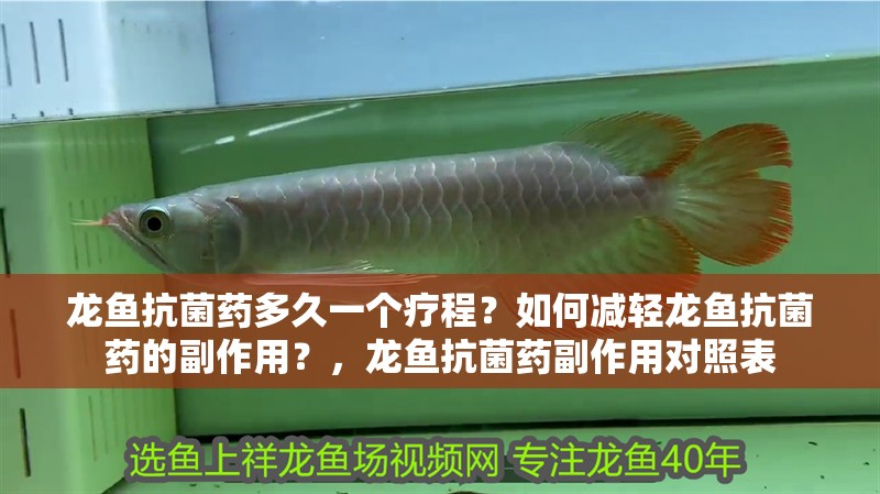 龍魚抗菌藥多久一個療程？如何減輕龍魚抗菌藥的副作用？，龍魚抗菌藥副作用對照表