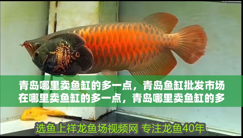 青島哪里賣魚缸的多一點(diǎn)，青島魚缸批發(fā)市場(chǎng)在哪里賣魚缸的多一點(diǎn)，青島哪里賣魚缸的多一點(diǎn)
