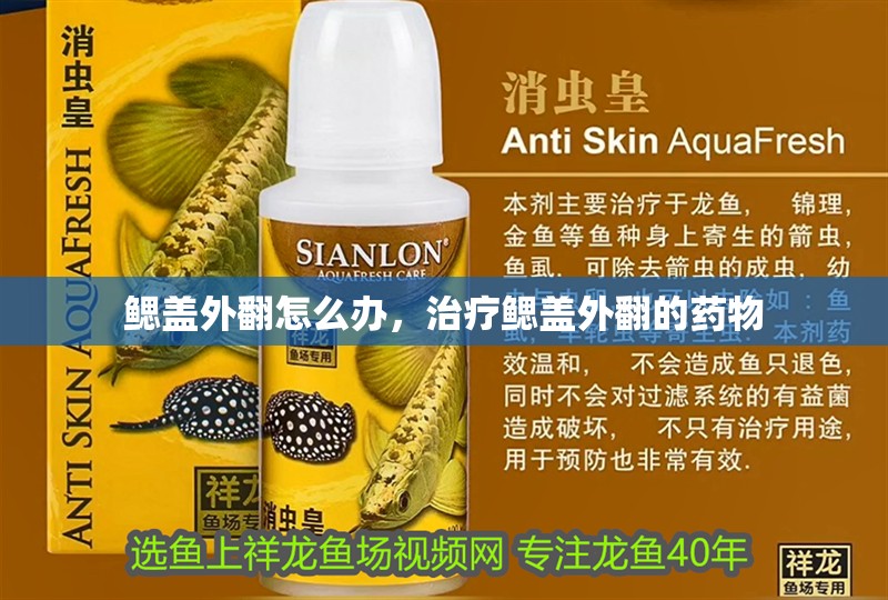 鰓蓋外翻怎么辦，治療鰓蓋外翻的藥物