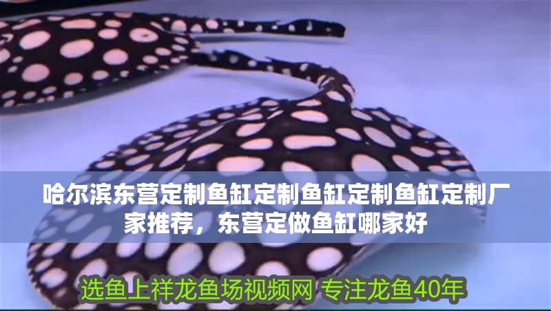 魚缸過濾器選購指南:自制魚缸過濾器魚缸上置過濾器對于養魚愛好者的必備知識 哈爾濱東營定制魚缸定制魚缸定制魚缸定制廠家推薦,東營定做魚缸哪家好 觀賞魚百科 哈爾濱東營定制魚缸定制魚缸定制魚缸定制廠家推薦,東營定做魚缸哪家好 哈爾濱東營定制魚缸定制魚缸定制魚缸定制廠家推薦,東營定做魚缸哪家好 觀賞魚百科