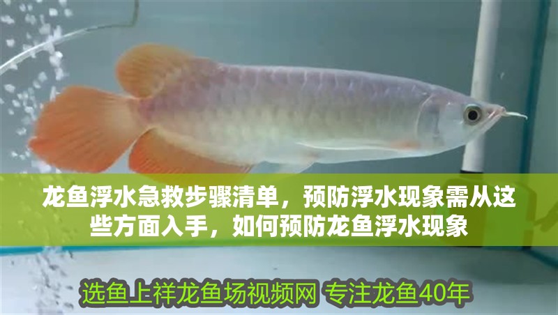 龍魚浮水急救步驟清單，預防浮水現(xiàn)象需從這些方面入手，如何預防龍魚浮水現(xiàn)象