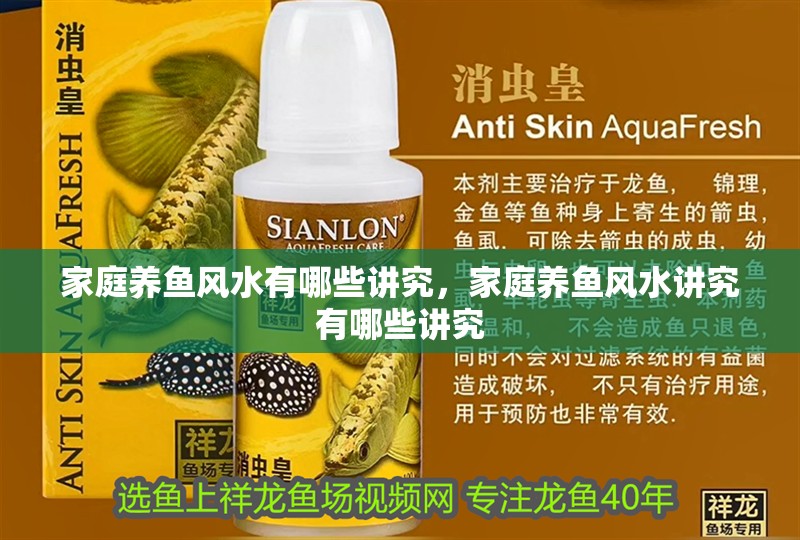 家庭養(yǎng)魚風(fēng)水有哪些講究，家庭養(yǎng)魚風(fēng)水講究有哪些講究