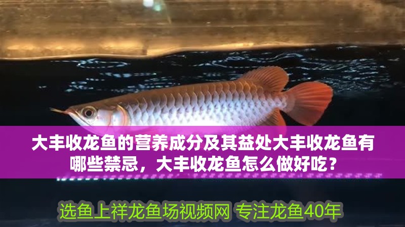 大豐收龍魚的營養(yǎng)成分及其益處大豐收龍魚有哪些禁忌，大豐收龍魚怎么做好吃？