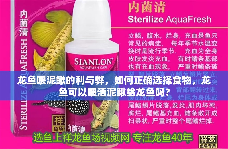 龍魚喂泥鰍的利與弊，如何正確選擇食物，龍魚可以喂活泥鰍給龍魚嗎？ 龍魚喂泥鰍的利與弊，如何正確選擇食物，龍魚可以喂活泥鰍給龍魚嗎？ 觀賞魚百科 第5張