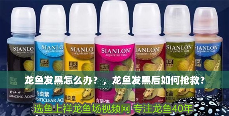 龍魚發黑怎么辦？，龍魚發黑后如何搶救？