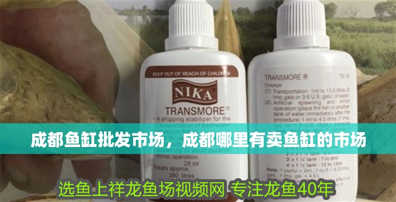 成都魚缸批發市場，成都哪里有賣魚缸的市場