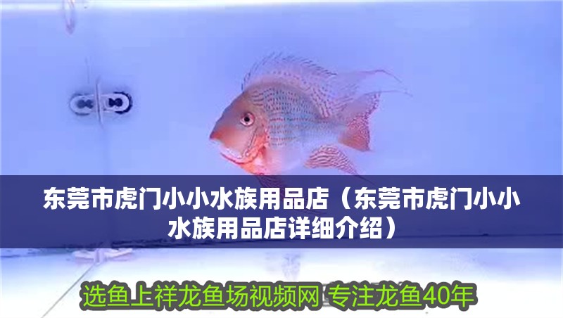 東莞市虎門小小水族用品店（東莞市虎門小小水族用品店詳細介紹）