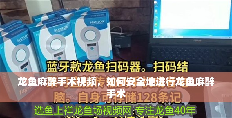 龍魚麻醉手術視頻，如何安全地進行龍魚麻醉手術