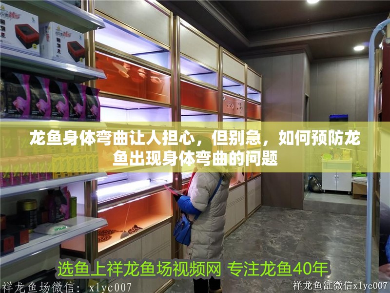 龍魚身體彎曲讓人擔心，但別急，如何預防龍魚出現身體彎曲的問題